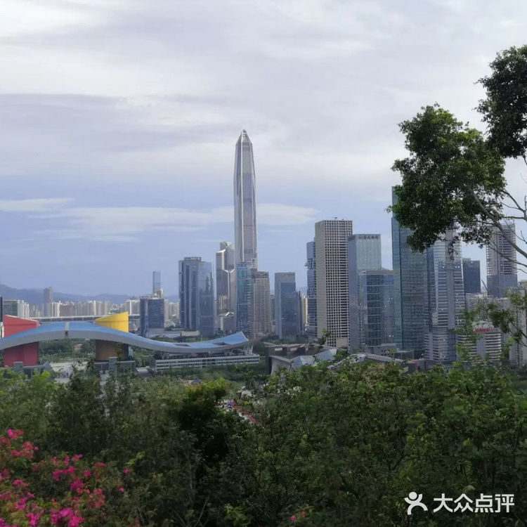 深圳旅游攻略～莲花山公园