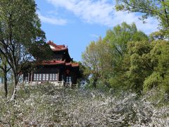 -台州府城(江南长城)