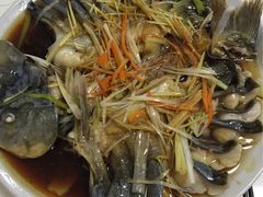 -煲来饱去冷水鱼
