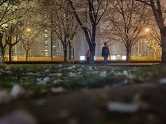 -栖露营camping·天幕烧烤·团建拓展·采摘营地