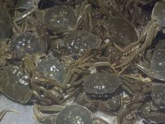 -欢乐牧场海鲜烤肉自助(牡丹园店)
