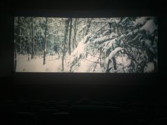 -大世界影城(无锡江南大悦城IMAX激光店)