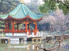 IMG_1978-申粤轩酒楼·三十年粤菜经典(丁香花园店)