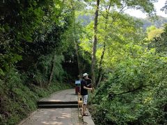 -凤栖山