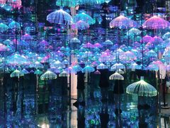 -天津梵高星空艺术馆(天河城旗舰店)