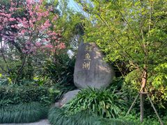 -福建鲤鱼洲酒店