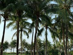-三亚亚龙湾红树林度假酒店