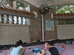 -金砂公园