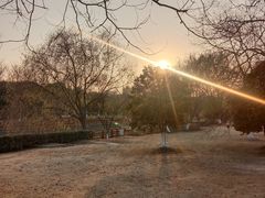 -九科绿洲