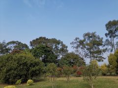 -福建鲤鱼洲酒店