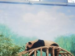 -杭州少年儿童公园