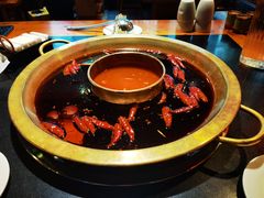 -聚极大龙火锅(郫县店)