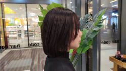 -HairCode芭曲发型
