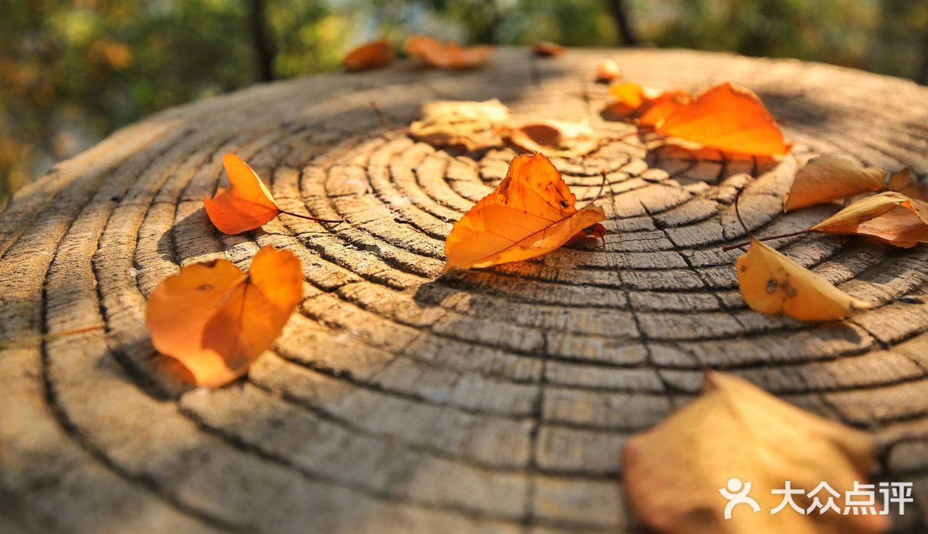 休息区，完全不用担心爬不上去