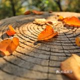 休息区，完全不用担心爬不上去