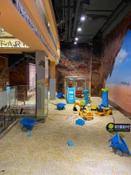 -卡通尼·Safari非洲探索乐园·生日会(金桥国际商业广场店)