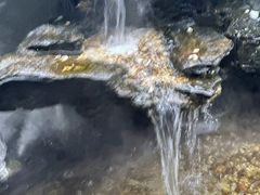 -观宴·品质赣菜(高新大道店)