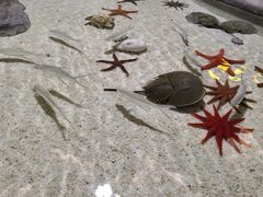 -福州罗源湾海洋世界旅游区