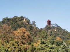 -缙云山景区