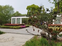 -苏州太湖国家湿地公园