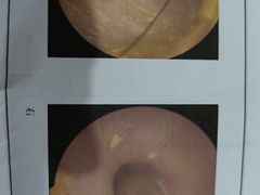 -上海市中医医院(芷江路院区)