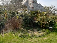 -桃花岛景观公园