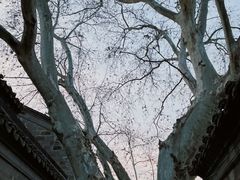 -老门东历史文化街区