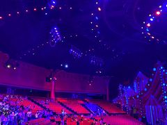 -珠海横琴长隆《卡卡虎奇遇记》