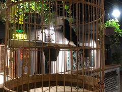 -北京全聚德(西客站店)