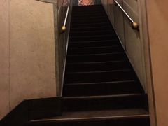 -上海和平饭店-华懋阁 The Cathay Room