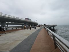 -演武大桥观景平台