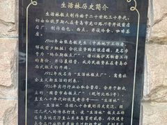 -生活林(河北路店)