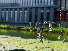 -星巴克(深圳前海企业公馆店)