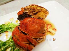 -新光酒家·河豚·海鲜·蟹料理(浦东店)
