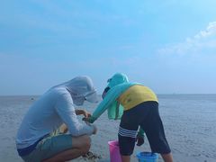 -南汇嘴观海公园