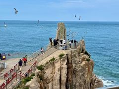 -海驴岛(荣成市)