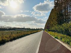 -上海长兴岛郊野公园