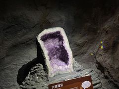 -正佳自然科学博物馆