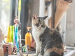 -五月木作·DIY木作文创体验店(北京路店)