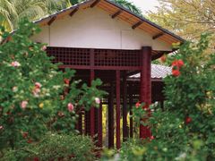 -深圳国际园林花卉博览园