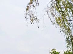 -西安锦江国际酒店