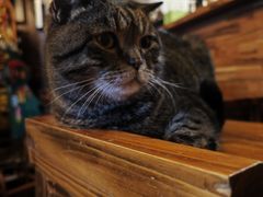 -云端咖啡私房店(河松街店)