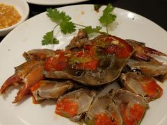 -吴记富苑(朝阳店)