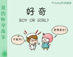 -邢台妇产医院