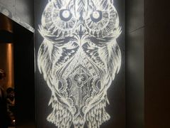 -CLUB OPUS欧贝斯酒吧(合肥店)