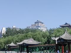 -莲花池公园