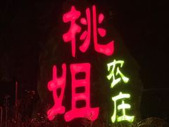 门面-桃姐农庄老字号(从化温泉店)