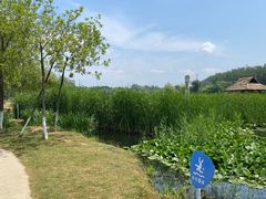 -前关湿地公园