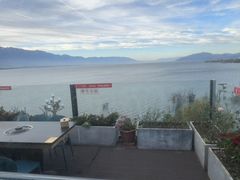 -野菌皇海景野生菌火锅(滨海大道店)