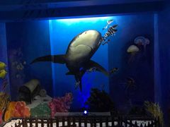 -船奇蒸汽海鲜·闽菜(八市海鲜总店)